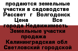 продаются земельные участки в садоводстве “Рассвет“ г. Волгодонск › Цена ­ 80 000 - Все города Недвижимость » Земельные участки продажа   . Калининградская обл.,Светловский городской округ 